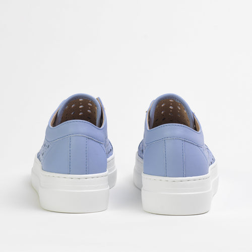 Women's Sky Leather Bees Sneakers in Nappa